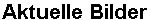 Aktuelle Bilder